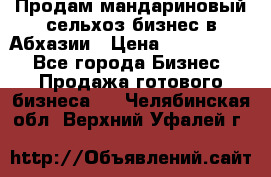 Продам мандариновый сельхоз-бизнес в Абхазии › Цена ­ 1 000 000 - Все города Бизнес » Продажа готового бизнеса   . Челябинская обл.,Верхний Уфалей г.